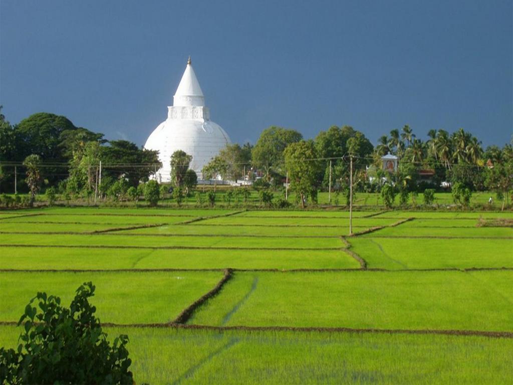 เนเชอร์ รีสอร์ท ทิสสามหารามา Hotel ทิซซามาฮารามา ภายนอก รูปภาพ